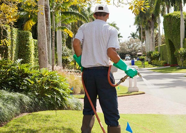 About Black Canyon City AZ Pest Control Pros
